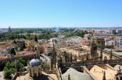 From atop the Seville Cathedral